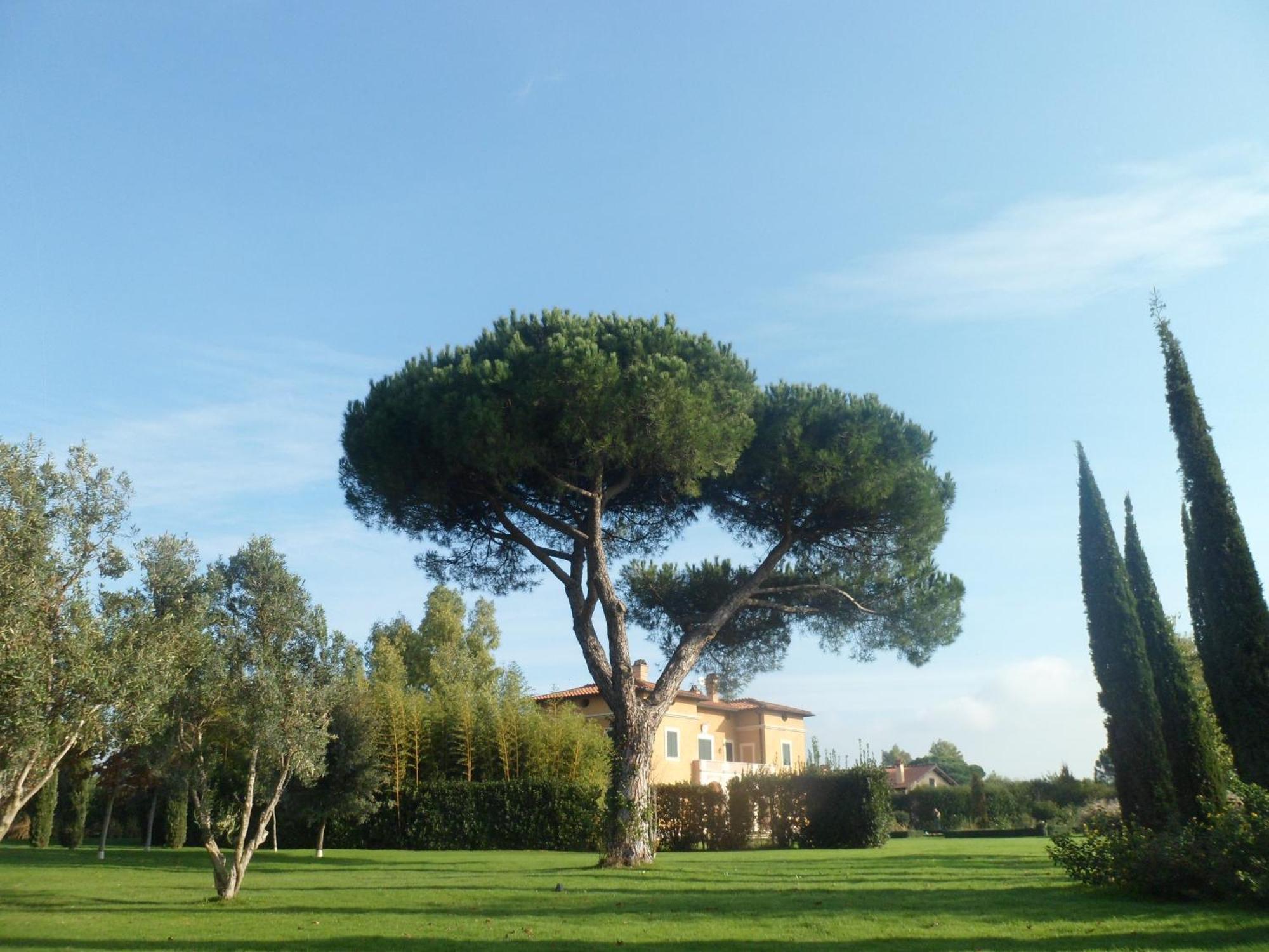 Casale Di Tormaggiore Villa And Country Suites Pomezia Bagian luar foto