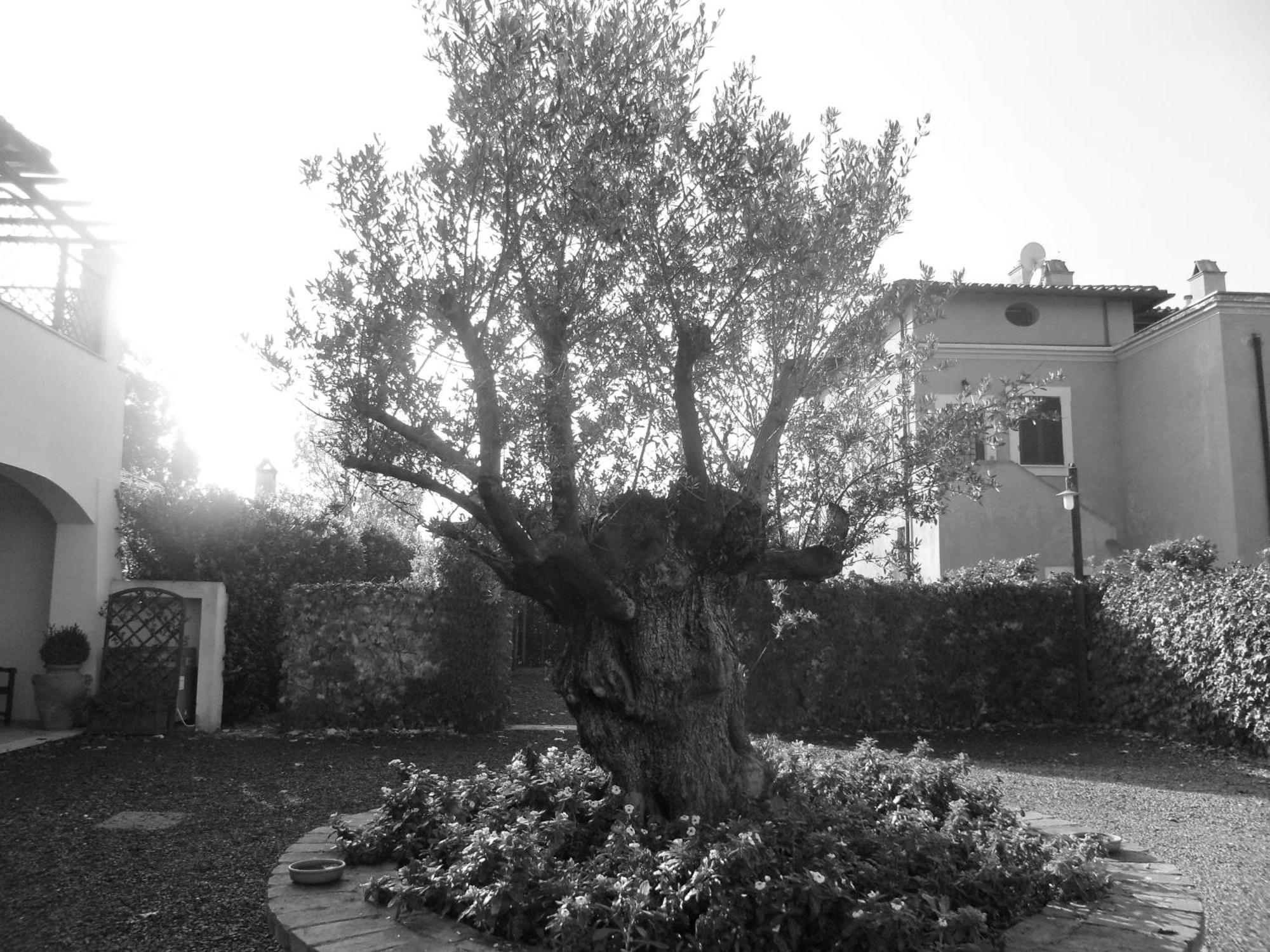 Casale Di Tormaggiore Villa And Country Suites Pomezia Bagian luar foto